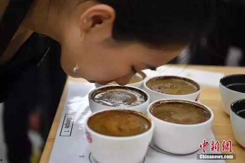 云南咖啡爆料视频播放,揭秘爆火视频背后的魅力与故事  第2张 云南咖啡爆料视频播放,揭秘爆火视频背后的魅力与故事  第2张
