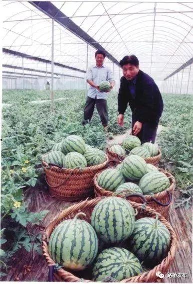 路桥吃瓜最新事件爆料,最新吃瓜事件揭秘,真相令人震惊!