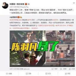 七台河出轨爆料新闻视频,视频揭露惊人真相,引发社会关注