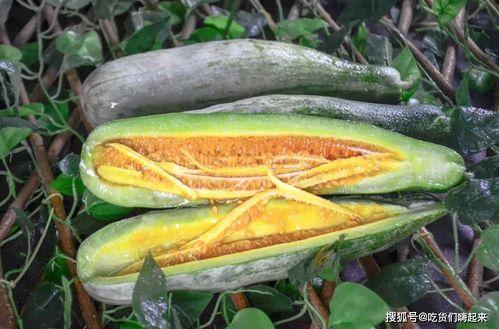 博雅吃瓜网红,揭秘娱乐圈幕后故事  第3张 博雅吃瓜网红,揭秘娱乐圈幕后故事  第3张