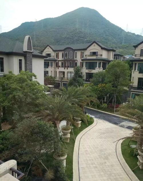小鲁班最新爆料视频网页,揭秘视频网页背后的精彩内容  第3张 小鲁班最新爆料视频网页,揭秘视频网页背后的精彩内容  第3张