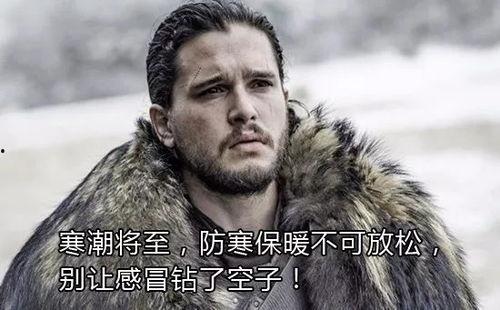 吃瓜的雪诺网红必须死,网红之路的悲情落幕  第2张 吃瓜的雪诺网红必须死,网红之路的悲情落幕  第2张