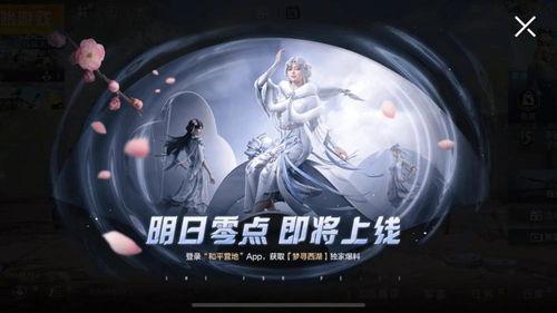 流星男主被爆料视频,揭秘背后真相与争议  第3张 流星男主被爆料视频,揭秘背后真相与争议  第3张