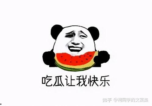 娱乐吃瓜文案搞笑,笑料百出,吃瓜群众笑翻天!  第3张 娱乐吃瓜文案搞笑,笑料百出,吃瓜群众笑翻天!  第3张