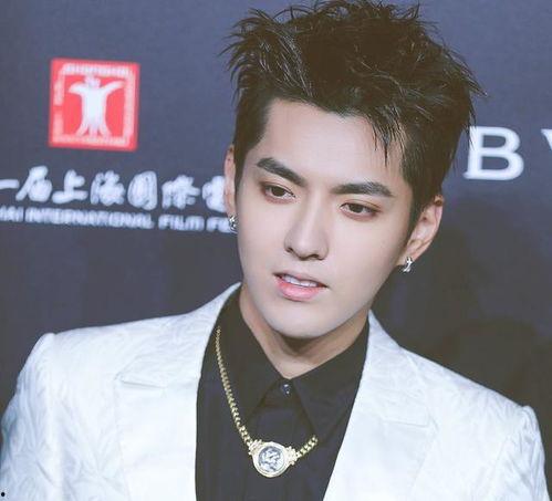 爆料娱乐圈吴亦凡,真相与争议交织的明星之路  第3张 爆料娱乐圈吴亦凡,真相与争议交织的明星之路  第3张