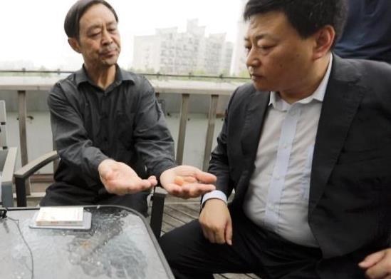 马保国最新爆料新闻,揭秘武术界惊人内幕!