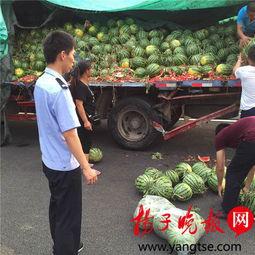 陇南网红吃瓜满床跑,揭秘网络红人的日常生活  第3张 陇南网红吃瓜满床跑,揭秘网络红人的日常生活  第3张