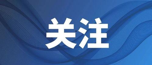 最新动态爆料新闻视频,揭秘新闻视频背后的惊人真相!