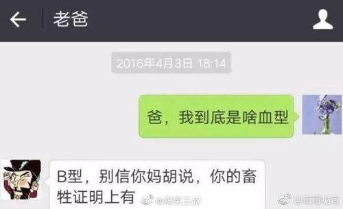 搞笑视频新闻爆料