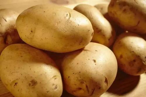 土豆豆爆料科普视频大全,揭秘生活奥秘,畅游知识海洋  第2张 土豆豆爆料科普视频大全,揭秘生活奥秘,畅游知识海洋  第2张